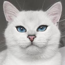 Create meme: cat, white cat horror, pedigree cats with blue eyes