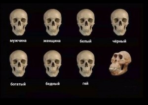 Create meme: the skull is so hard meme, curve skull meme, skull