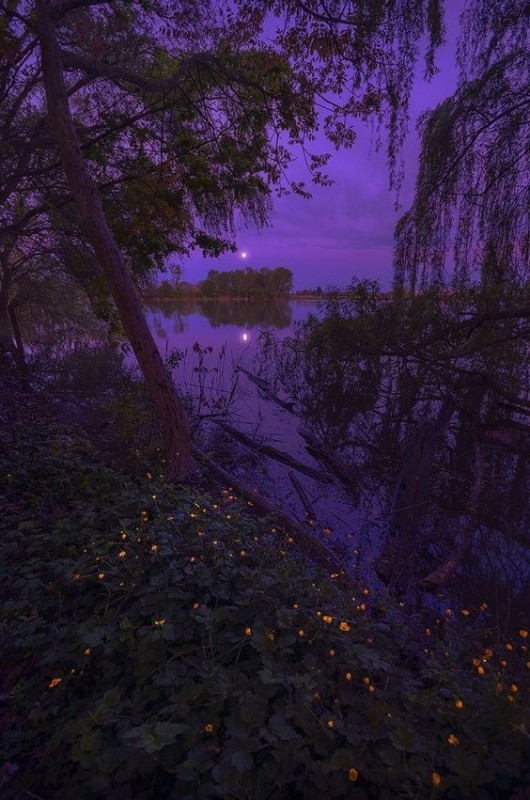 Создать мем: летняя ночь, фиолетовое небо, лиловый закат