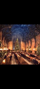 Create meme: Harry Potter Hogwarts Christmas, Harry Potter Christmas at Hogwarts, Harry Potter