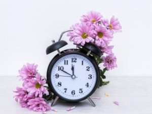Создать мем: часы фон, цветы часики, будильник доброе утро