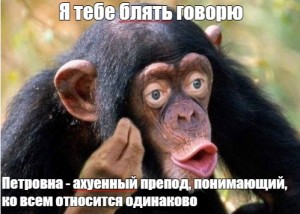 Создать мем: обезьяна для вп, обыкновенный шимпанзе, шимпанзе мем
