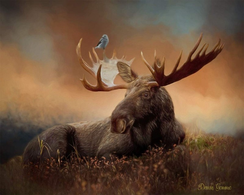 Create meme: deer elk , moose , moose art