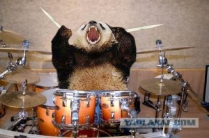 Создать мем: Панда-барабанщик