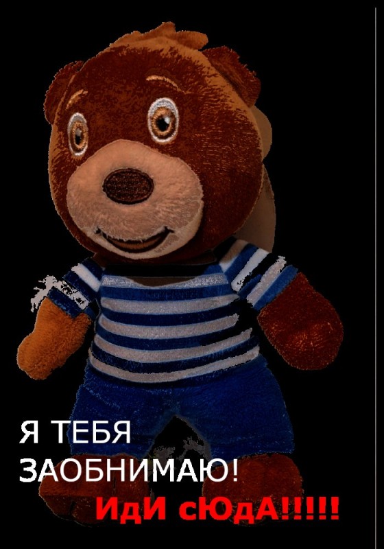 Create meme: Teddy bear Tim, soft toy bear, big bear