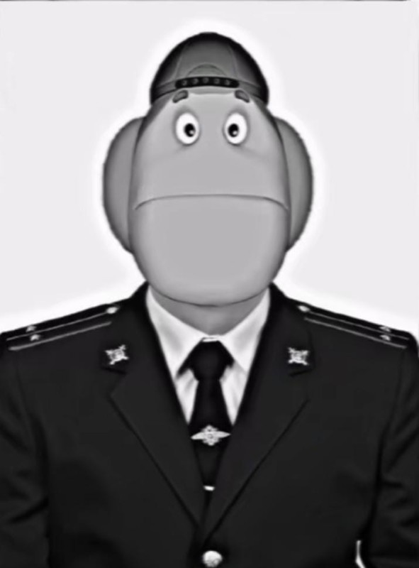 Create meme: police major, junior police sergeant, Sergey alexandrovich police major
