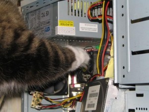 Создать мем: компьютер, кот ремонтирует компьютер, мышь в системном блоке