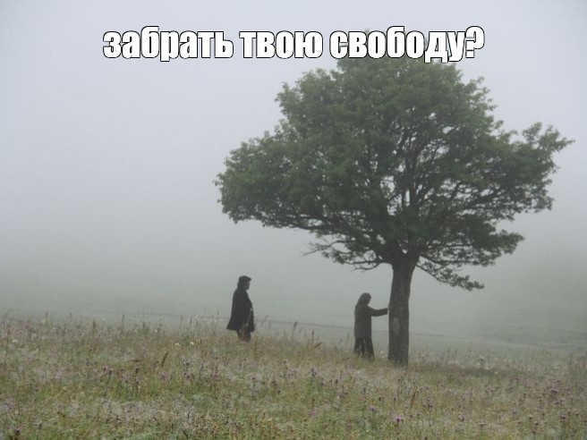 Создать мем: воспоминания ветра, одинокое дерево в тумане, memories of the wind