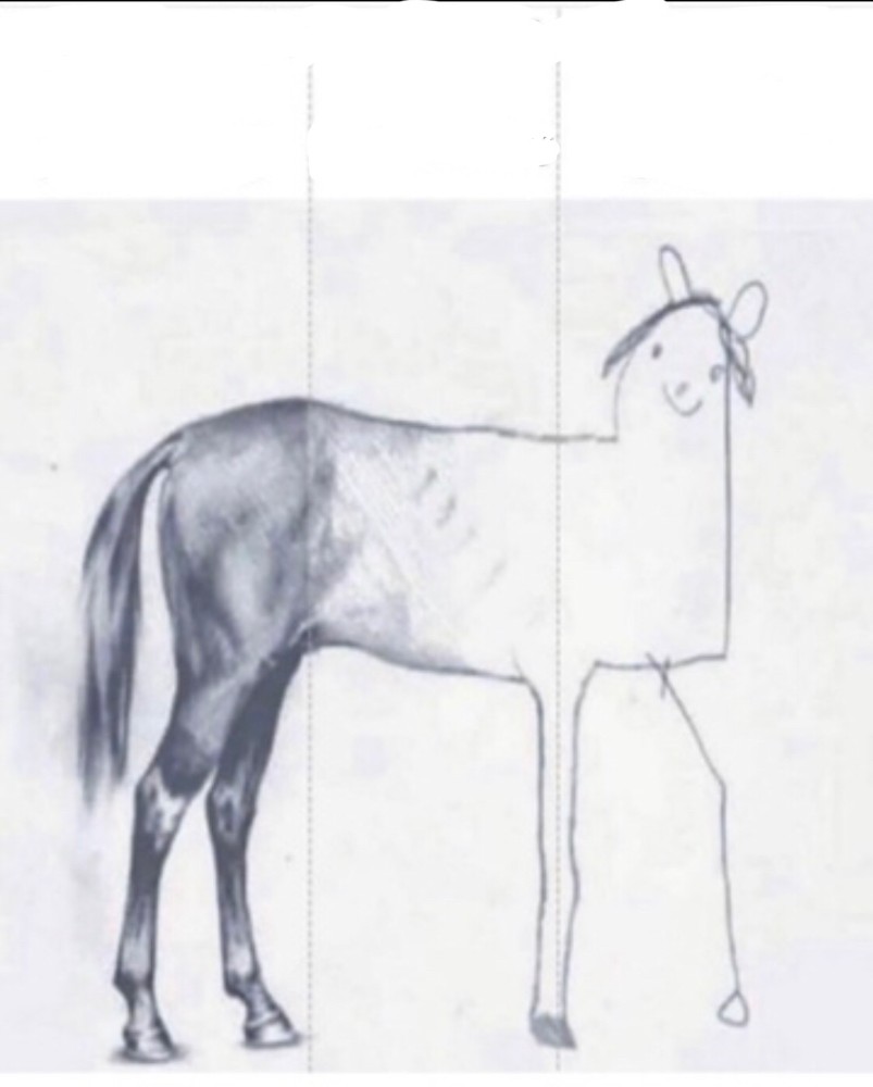 Создать мем: мем с рисунком лошади, рисование лошади, недорисованная лошадь мем
