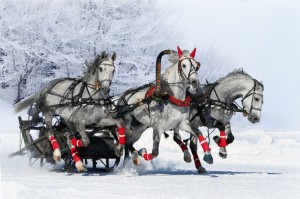 Create meme: Russian Troika horses fair, three horses, three horses pictures