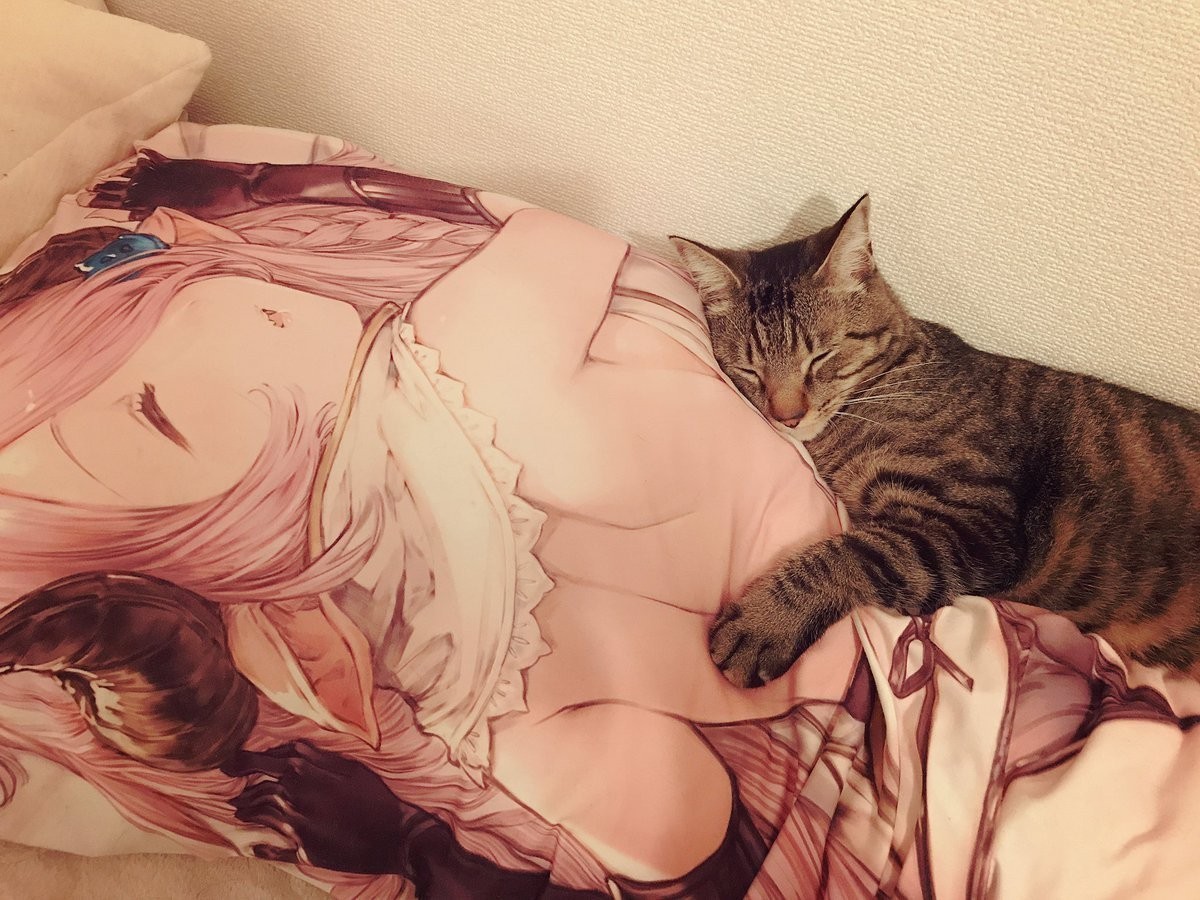 Create meme "bed , waifu cat pillow". вайфу кошка подушка - Creat...