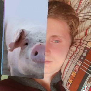 Create meme: mumps, pig, boy