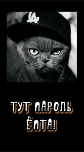 Создать мем: кот в кепке, обои на телефон с надписью уже, крутые котики