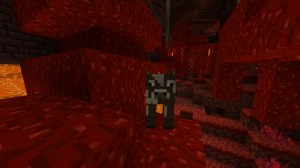 Create meme: minecraft nether, minecraft