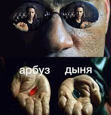 Create meme: matrix choice pill, Morpheus two pills, Morpheus is a choice between the two pills