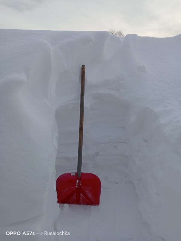 Create meme: shovel snow, snow shovel, snow shovel
