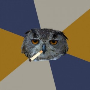 Create meme: Stoned owl