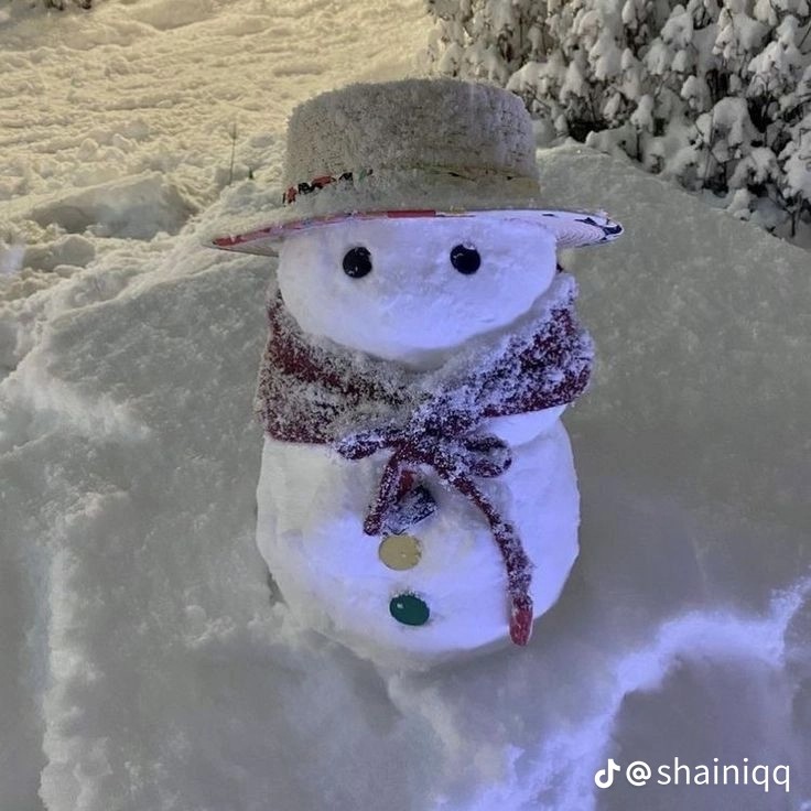 Create meme: snowman in winter, snowman , the snowmen