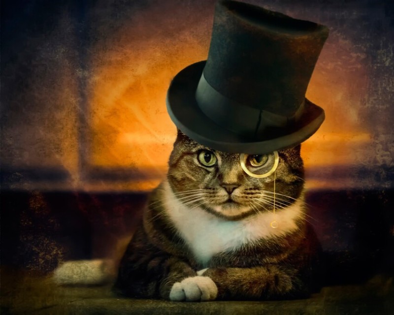 Create meme: the cat monsieur, a cat in a top hat and with glasses, a cat in a hat
