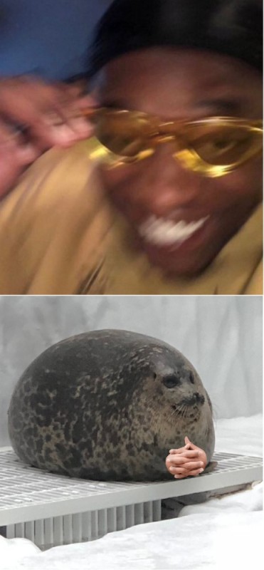 Create meme: a meme with a seal, memes , memasuki funny