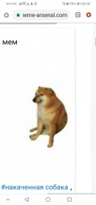 Create meme: cheem doge, shiba inu, meme with dog