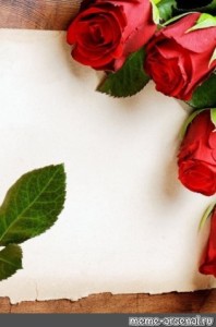 Create meme: rose flower, red roses 