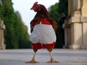 Создать мем: человек курица, модная курица, французская курица
