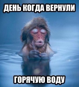 Создать мем: monkey, снежные обезьяны, наконец то пятница