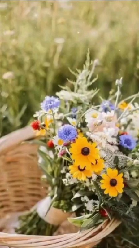 Создать мем: цветочный букет, цветы луговые, полевые цветы красивые