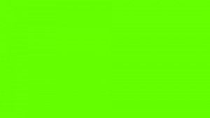 Create meme: green background solid bright, light green, green background