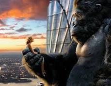 Create meme: king kong 2005, king Kong , Gorilla Kong