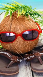 Создать мем: смешной кокос, coconut, кокосовый орех