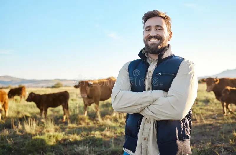 Создать мем: мужик фермер, мужчина, коровы в поле