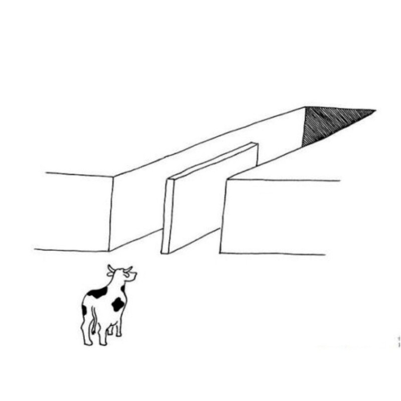 Create meme: figure , cow illusion of choice, illusion drawing