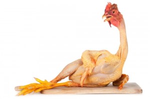 Create meme: rooster, chicken, chicken