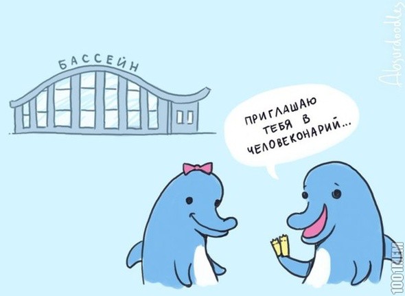 Create meme: Dolphin funny, dolphin humor, dolphin comics