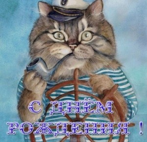 Создать мем: кошка, кот, кот моряк рисунок