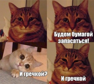 Создать мем: кот кот, мем кошка, котейка мем