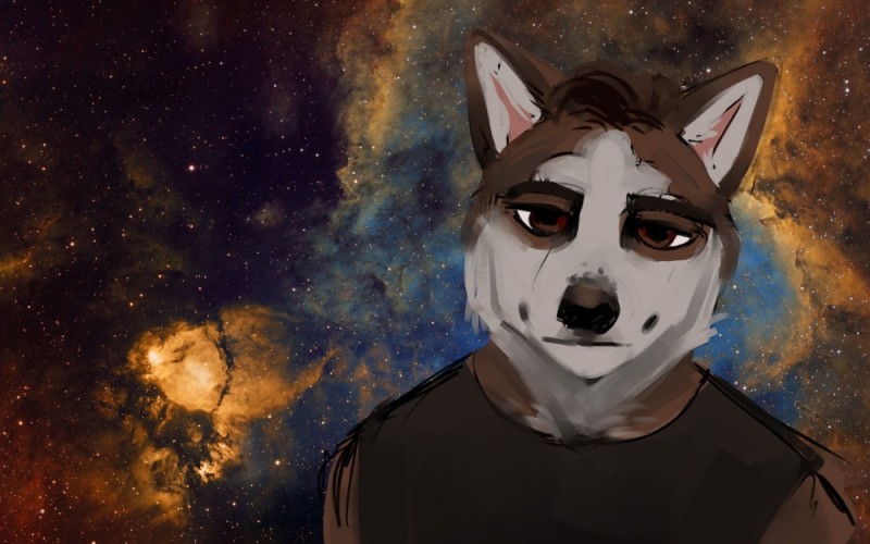 Create meme: wolf furry, The constellation of the Cassiopeia nebula, anime