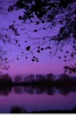 Create meme: sad purple landscape, aesthetics of pink and purple nature, nature 