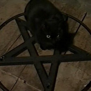 Создать мем: оккультный кот, кот сатана, черный кот с пентаграммой