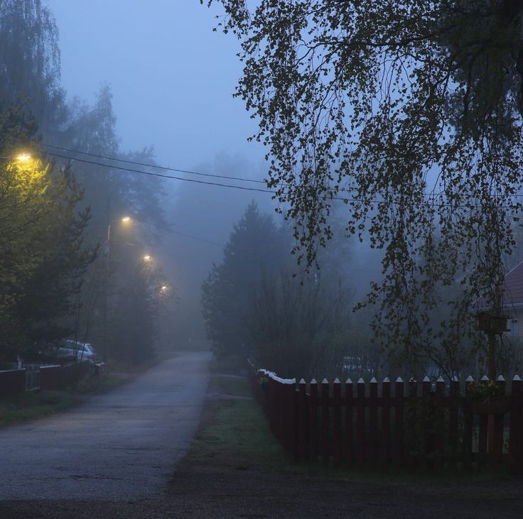Create meme: night landscape, autumn fog in the village, night mist