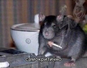 Создать мем: мем крыса с сигаретой, крыса, крыса с сигаретой