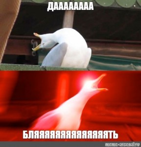 Create meme: gull herring gull, top memes, meme risovac