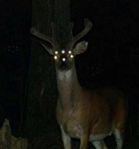 Create meme: deer, deer hunting, deer
