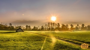 Create meme: field sun, nature sunrise, morning field