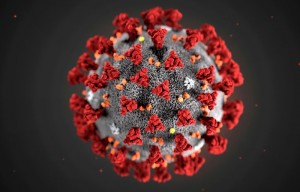 Создать мем: koronavirus, заражение коронавирусом, короновирус