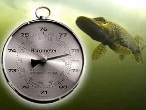 Создать мем: давление для рыбалки на щуку, влияние давления на клев, барометр для рыбалки