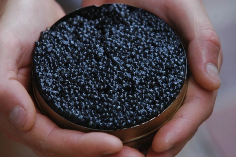 Create meme: black caviar, sturgeon caviar from uruguay, sturgeon caviar