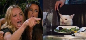 Создать мем: кот, мемы с котами, woman yelling at cat meme